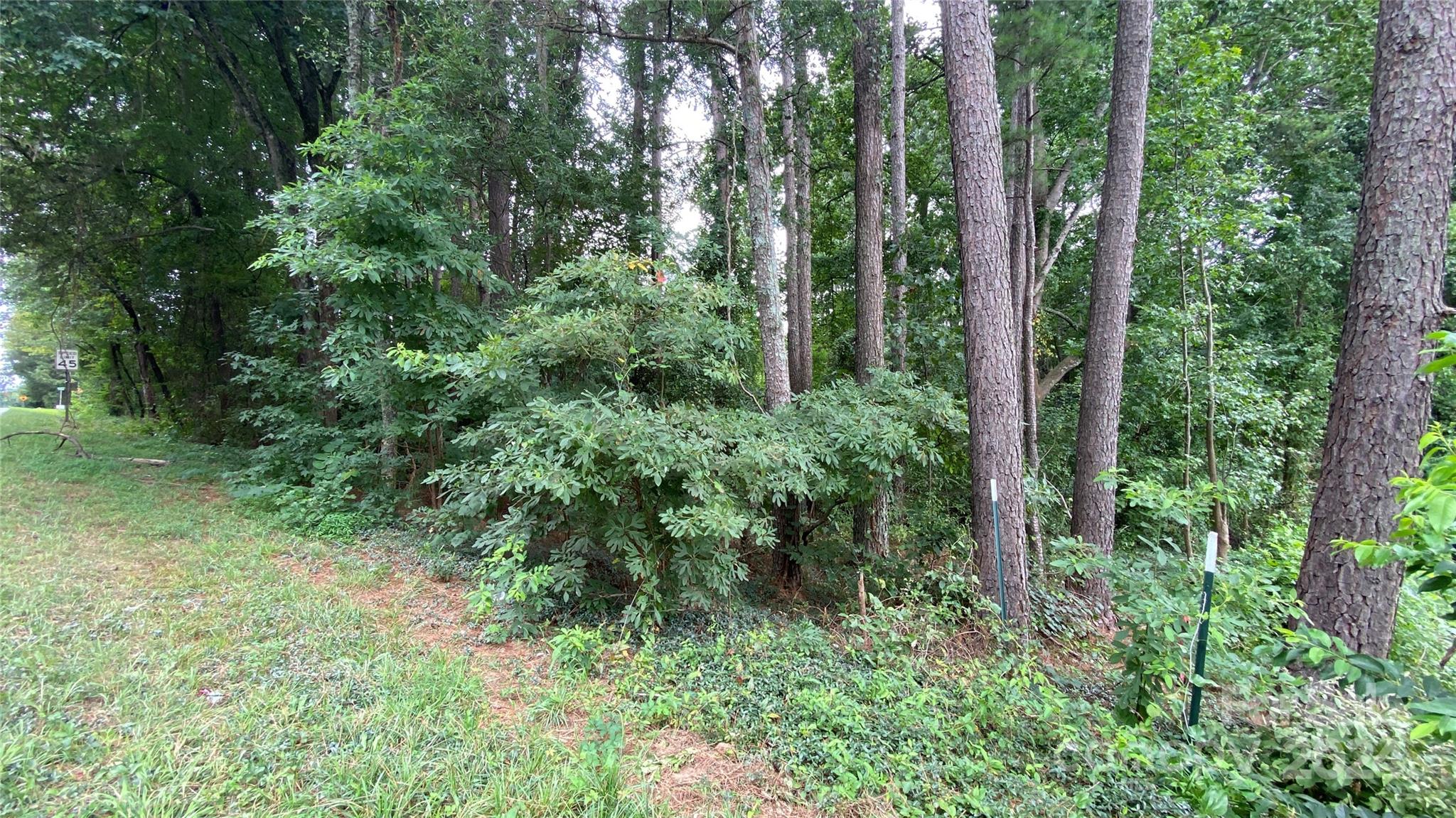 0 Bud Black Road Crouse, NC 28033 - Photo 4 of 12