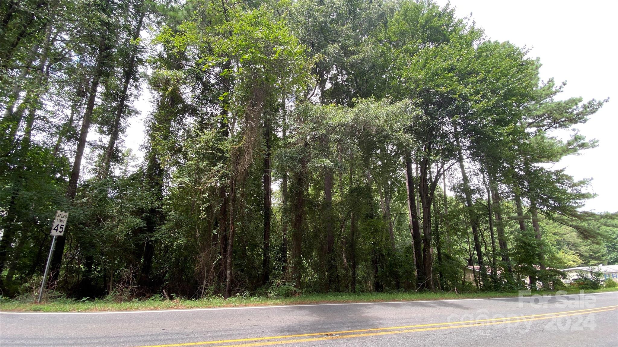 0 Bud Black Road Crouse, NC 28033 - Photo 5 of 12 a view of a yard