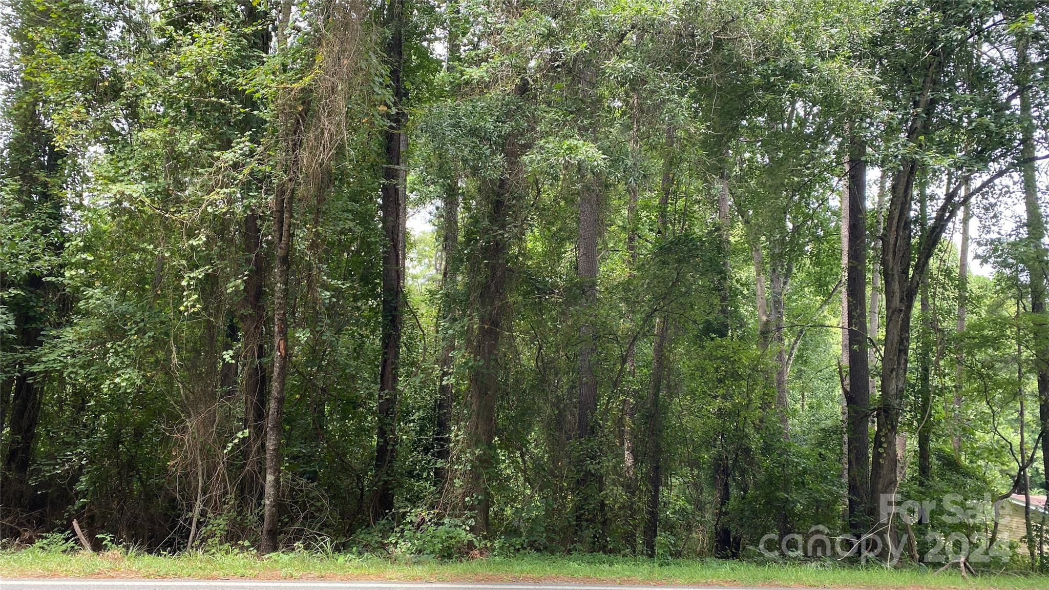 0 Bud Black Road Crouse, NC 28033 - Photo 6 of 12 a view of a forest with trees