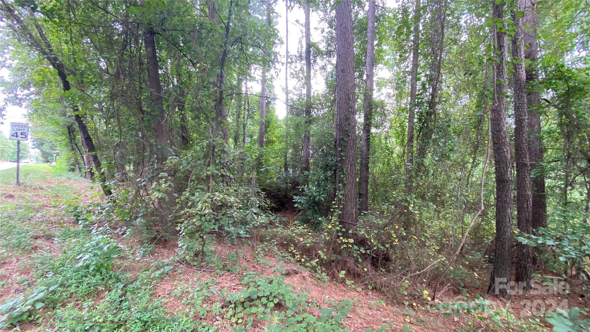 0 Bud Black Road Crouse, NC 28033 - Photo 8 of 12 a big yard with lots of green space and trees