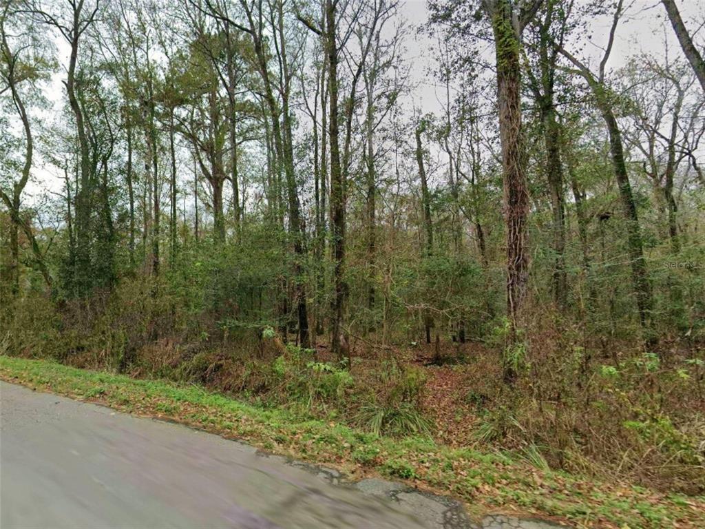 Hugh Road Tallahassee, FL 32309 - Photo 3 of 5 a view of a forest with trees in front of it