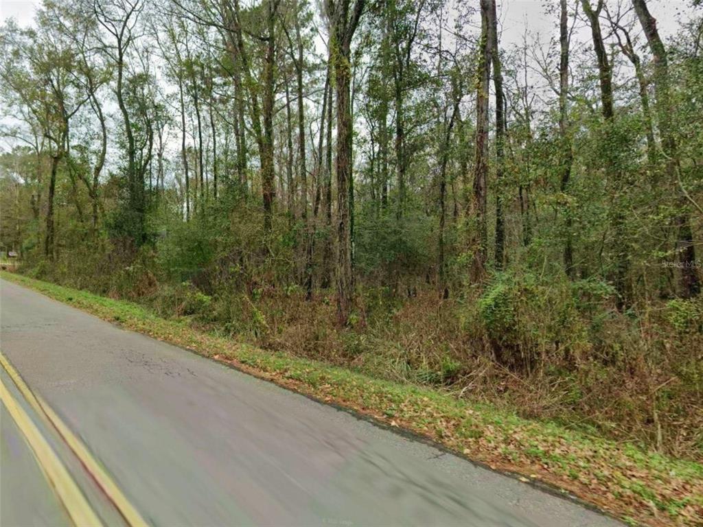 Hugh Road Tallahassee, FL 32309 - Photo 4 of 5 a view of a forest from a window