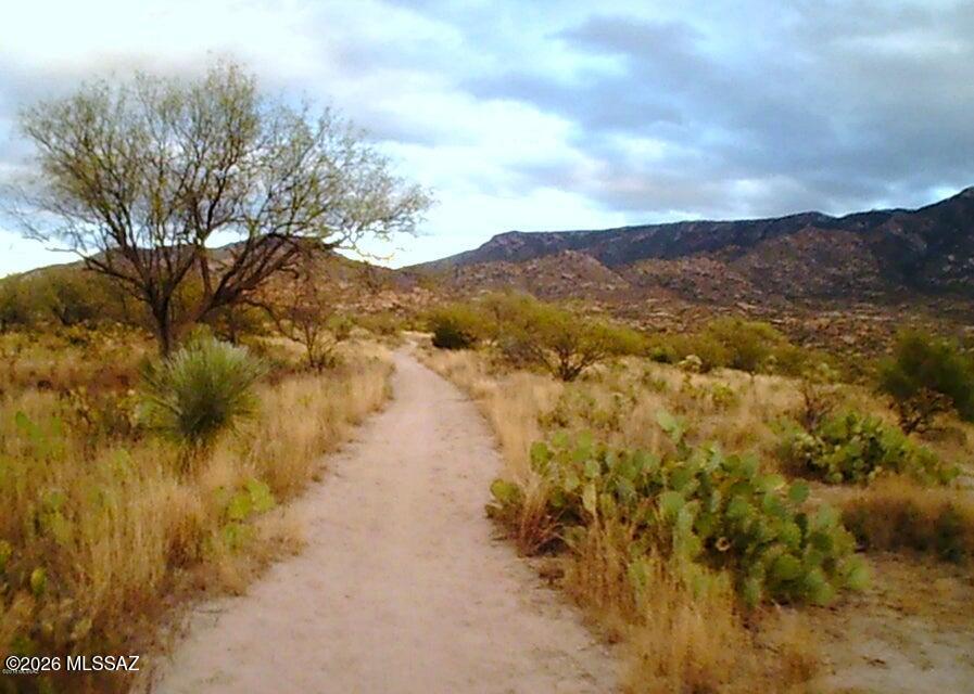 15850 North Razorback Ridge Trail Tucson, AZ 85739 - Photo 50 of 50 View