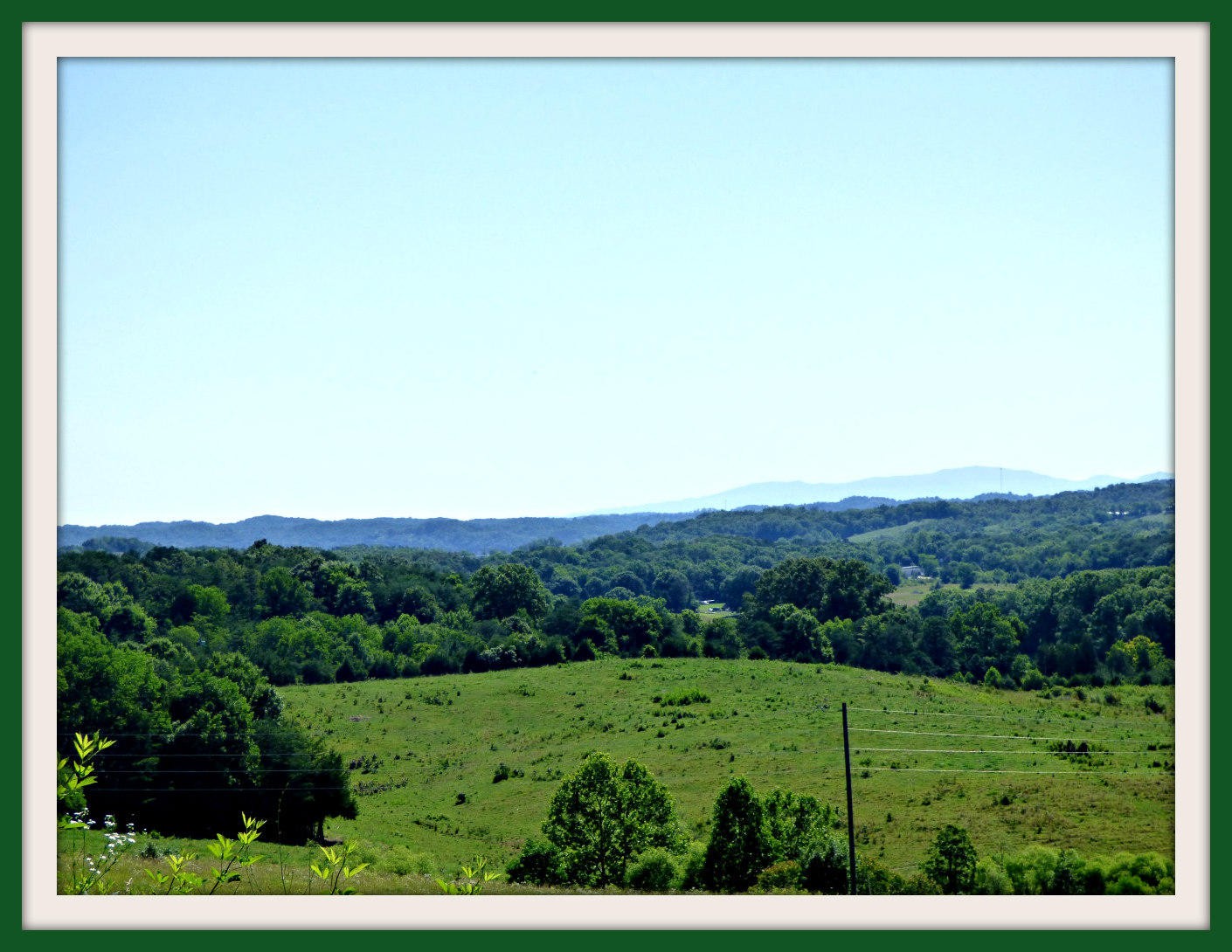 1 Swannsylvania Road Dandridge, TN 37725 - Photo 18 of 19 Gallery Image 18
