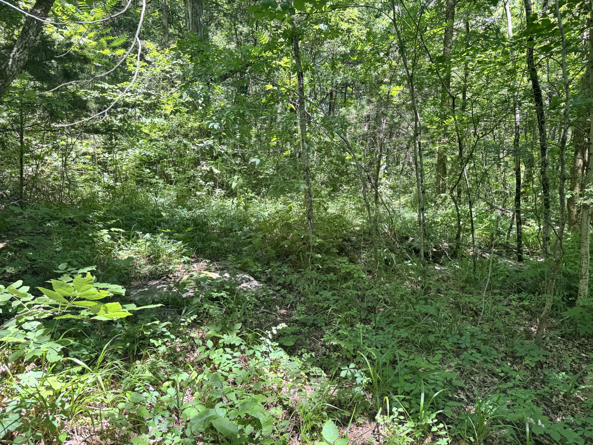 0 Walnut Hill Road Lebanon, TN 37090 - Photo 19 of 20 Gallery Image 19