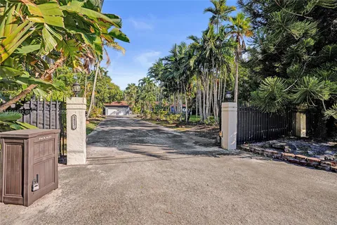 a view of a road with plants and large trees