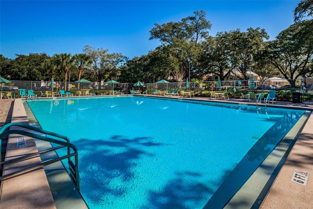 2407 Gun Flint Trail Palm Harbor, FL 34683 - Photo 38 of 43 a view of a swimming pool with lawn chairs & wooden fence