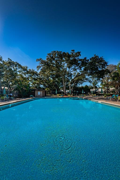 2407 Gun Flint Trail Palm Harbor, FL 34683 - Photo 39 of 42