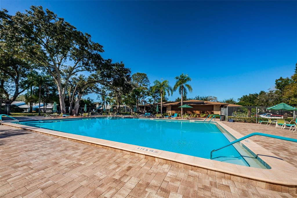 2407 Gun Flint Trail Palm Harbor, FL 34683 - Photo 40 of 42