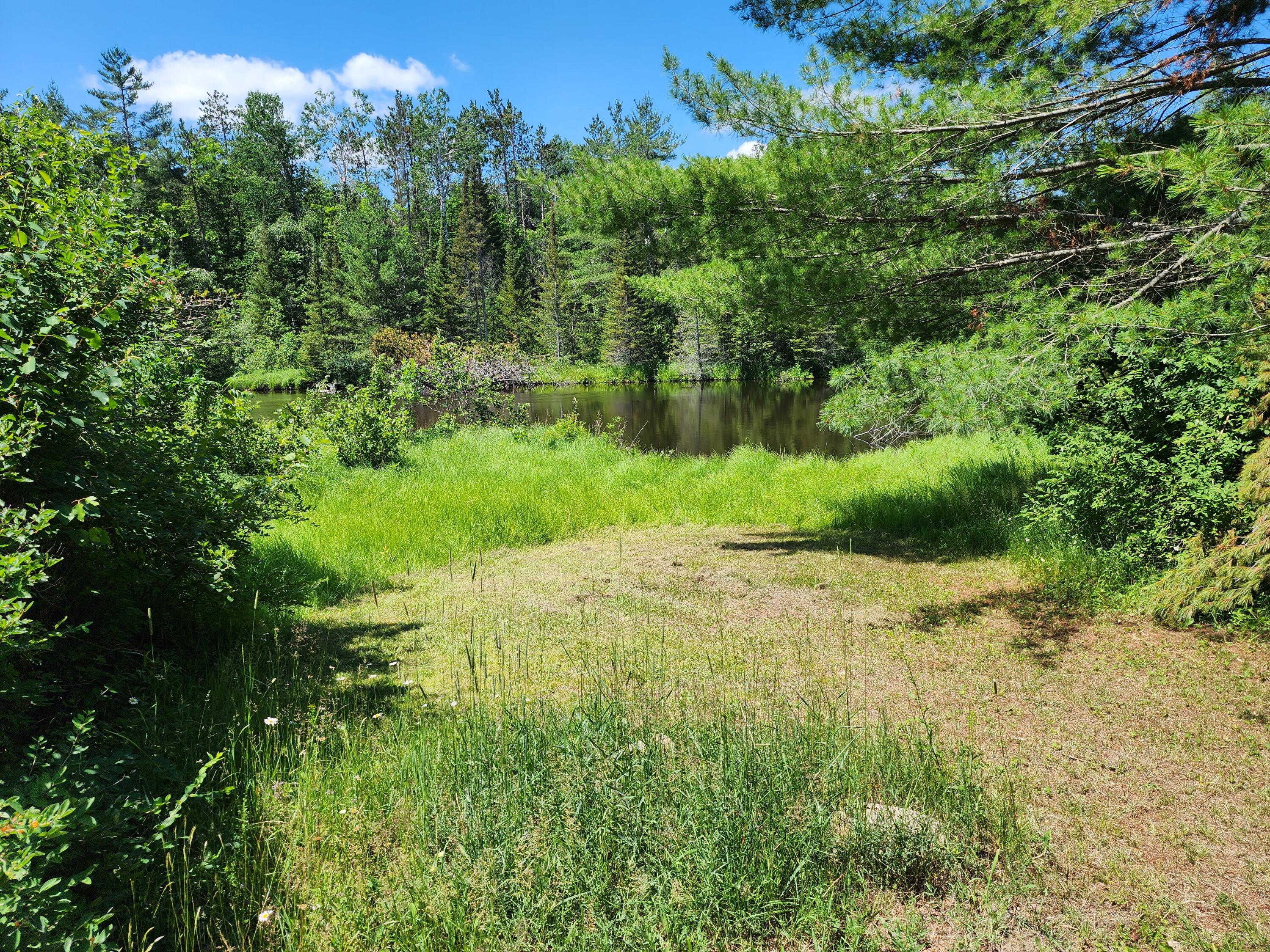10501 Mason Road Onaway, MI 49765 - Photo 17 of 18 20250708_130304