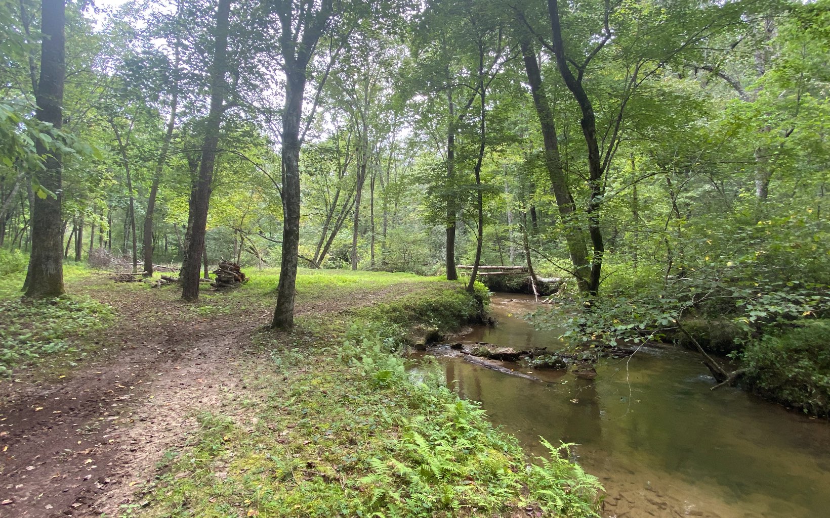 Lot 6 Sunrise Valley Road Blue Ridge, GA 30513 - Photo 4 of 4 Additional View
