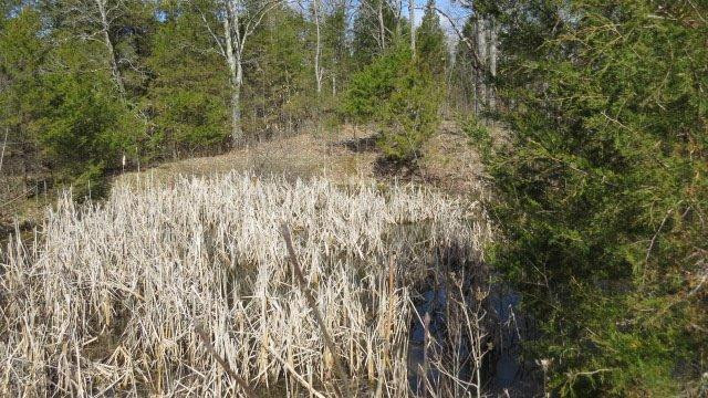 1 Baxter Ridge Road Lawrenceburg, KY 40342 - Photo 10 of 13 Photo 10