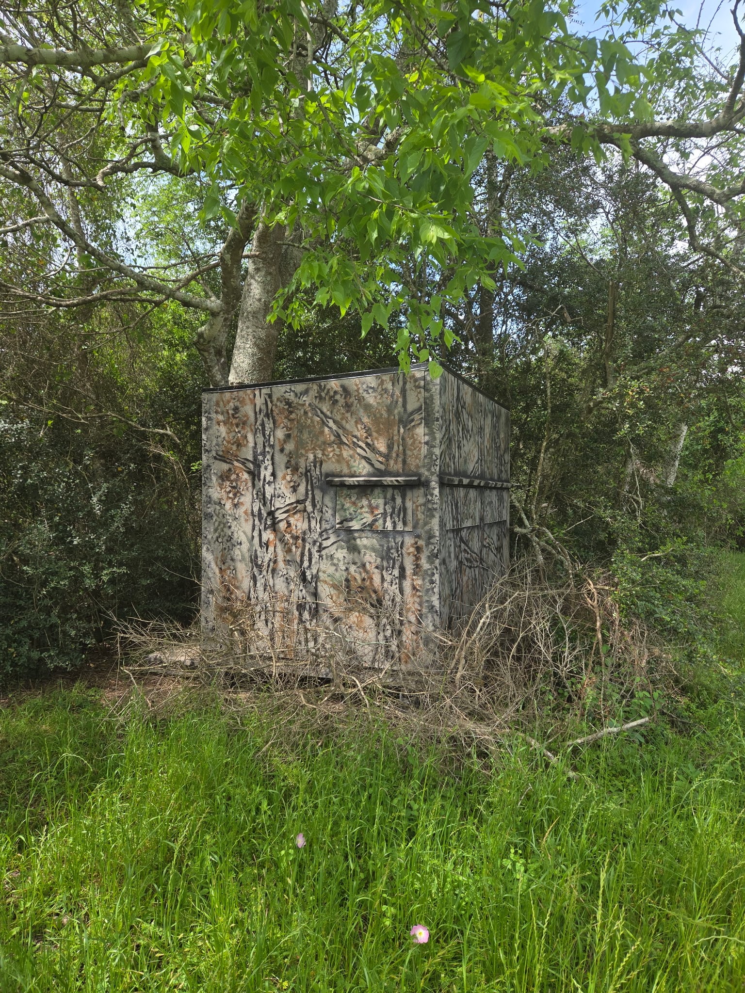 2240 Meyer Road Beasley, TX 77417 - Photo 28 of 29 Deer Stand