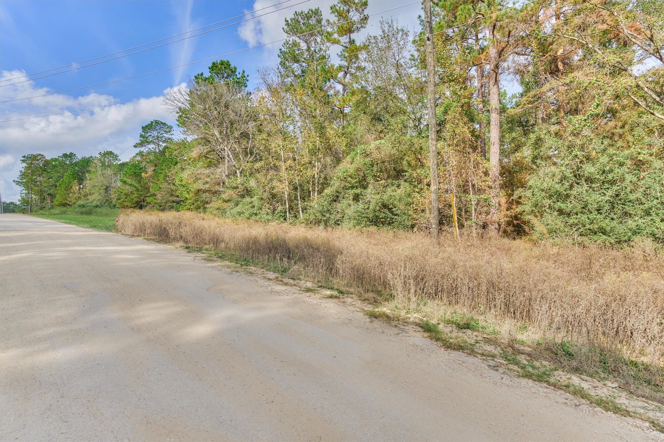 498 Lonestar Road Huntsville, TX 77340 - Photo 19 of 20 The view looking back down Lonestar Rd. Bring your friends and family to discover the beauty of this acreage community!