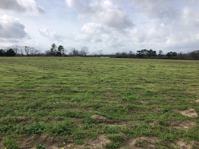 18.2-ac County Line Loop Opp, AL 36467 - Photo 6 of 7 Gallery Image 6