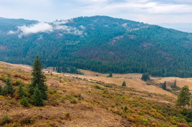 $1,595,000 | 361 Lone Ranch Creek Road, Danville, WA 99121