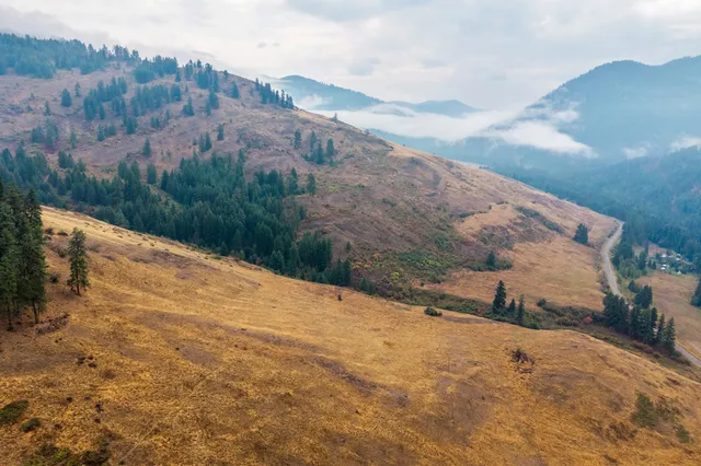 $1,595,000 | 361 Lone Ranch Creek Road, Danville, WA 99121