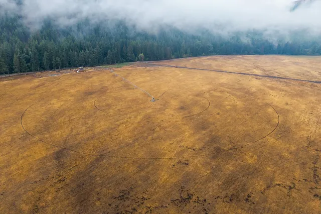 $1,595,000 | 361 Lone Ranch Creek Road, Danville, WA 99121