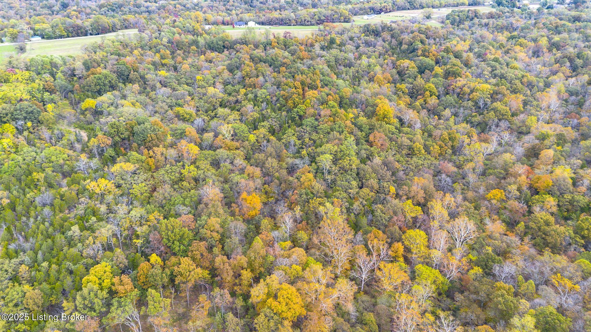 Lot 8 Bray Ridge Road Bedford, KY 40006 - Photo 40 of 46 BrayRidgeRd_779