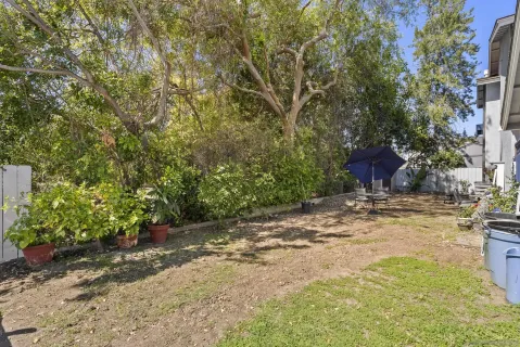 a view of a yard with plants and trees