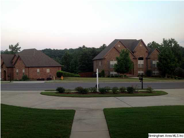 128 Lakeland Ridge Chelsea, AL 35043 - Photo 32 of 32