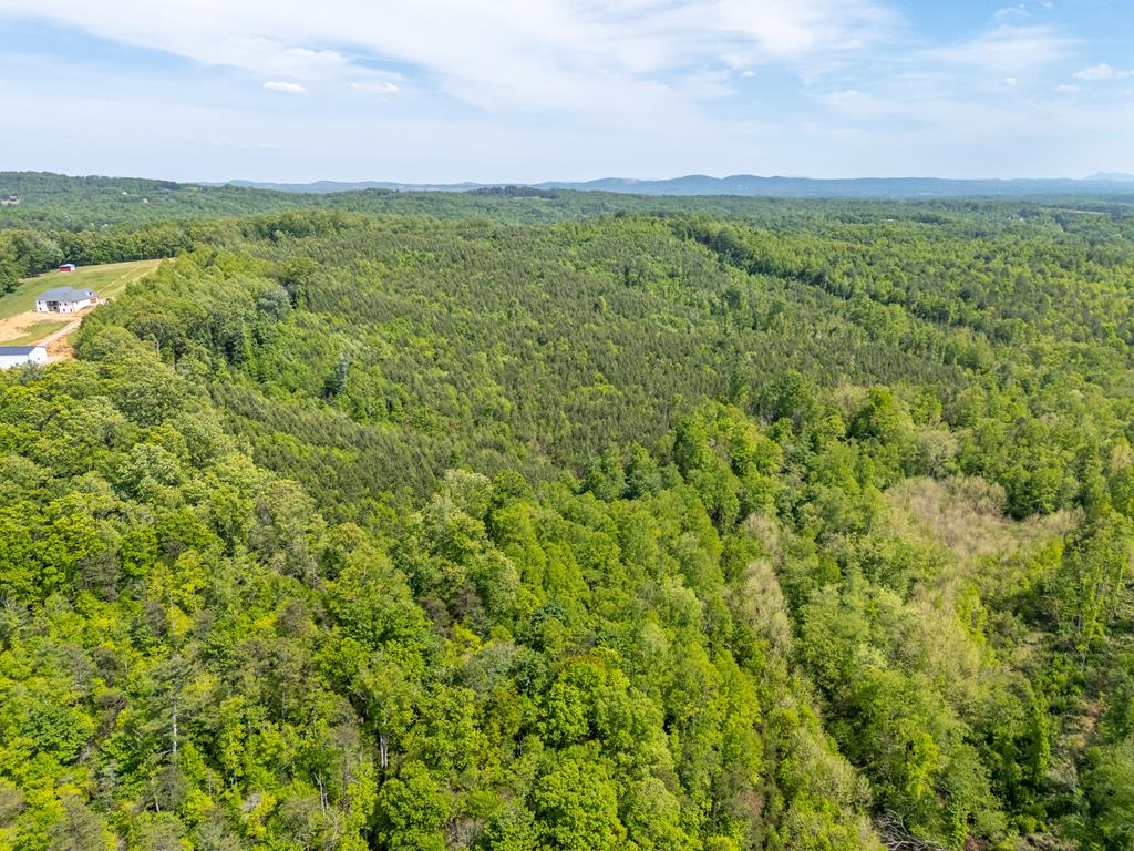 Tbd Ahart Ridge Road, Unit 58 60 61 Ararat, VA 24053 - Photo 39 of 54 Gallery Image 39