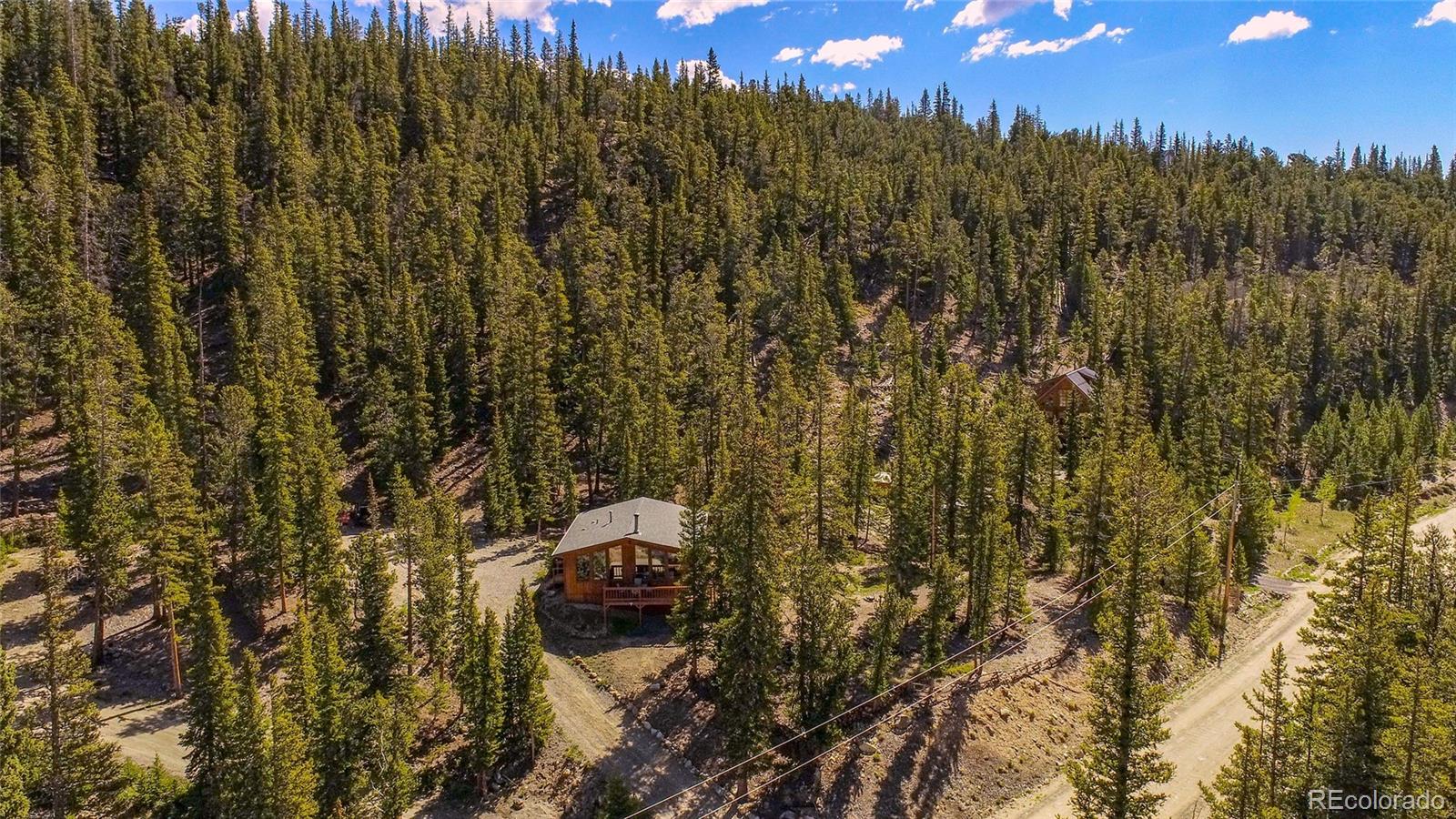 394 Co Road Fairplay, CO 80440 - Photo 39 of 50