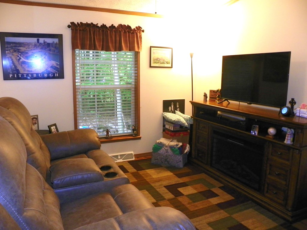 2268 German Hill Road Tionesta, PA 16353 - Photo 20 of 31 a living room with furniture and a flat screen tv