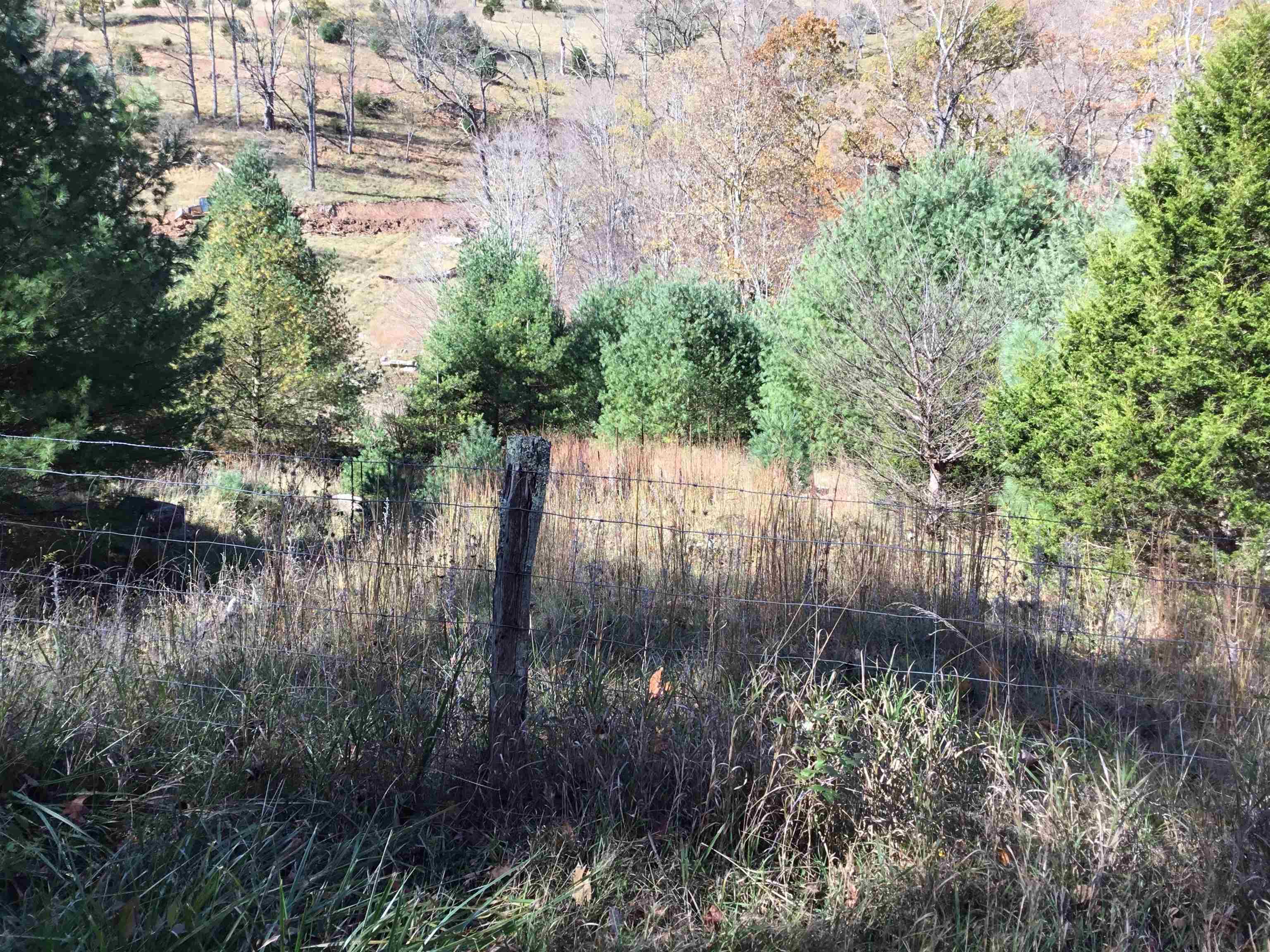 2817 Dry Run Road Franklin, WV 26807 - Photo 5 of 6