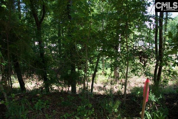 415 Alice Harris Road Prosperity, SC 29127 - Photo 7 of 7