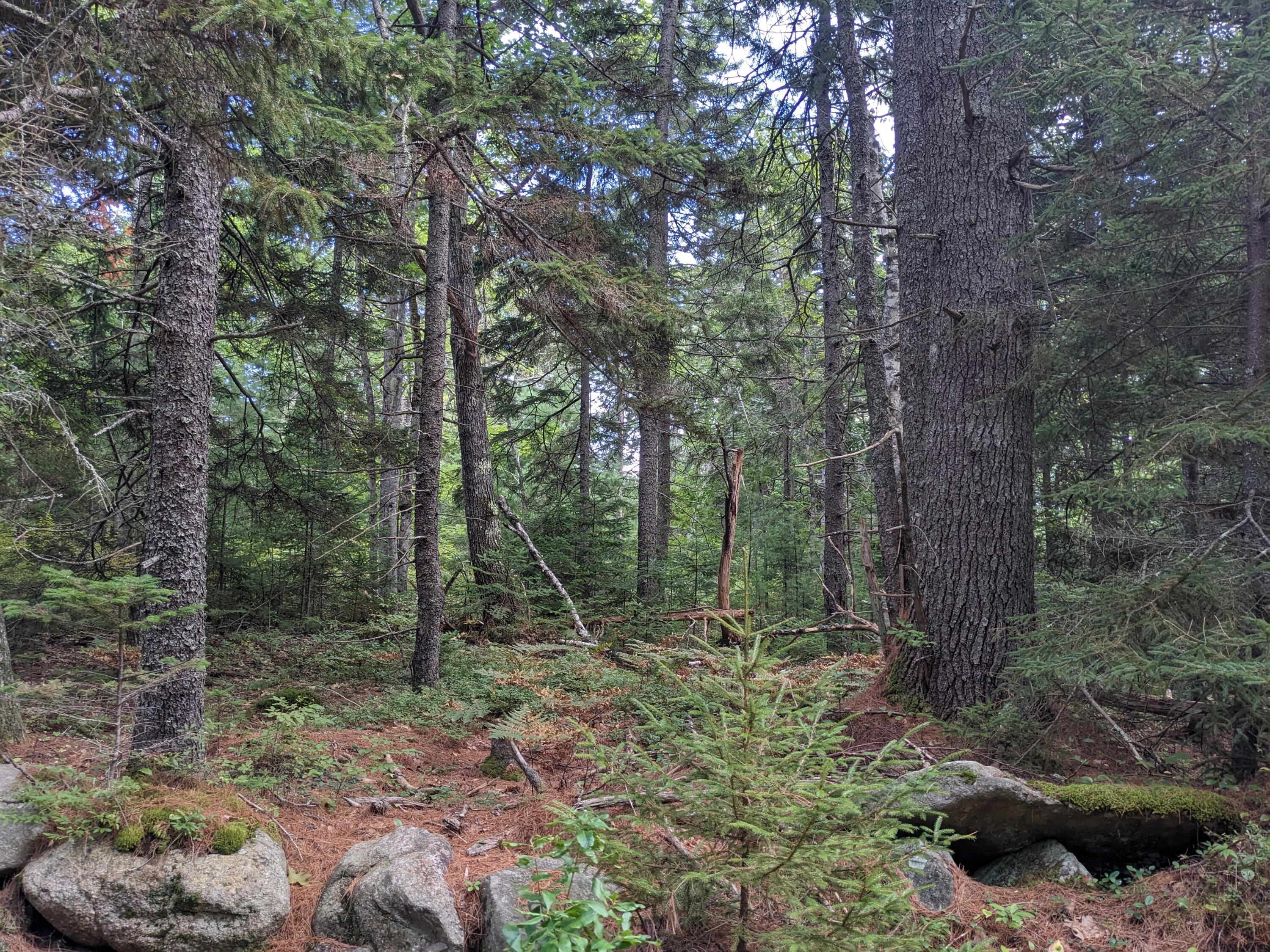 Lot 48 Matthews Road Boothbay, ME 04537 - Photo 1 of 4 1