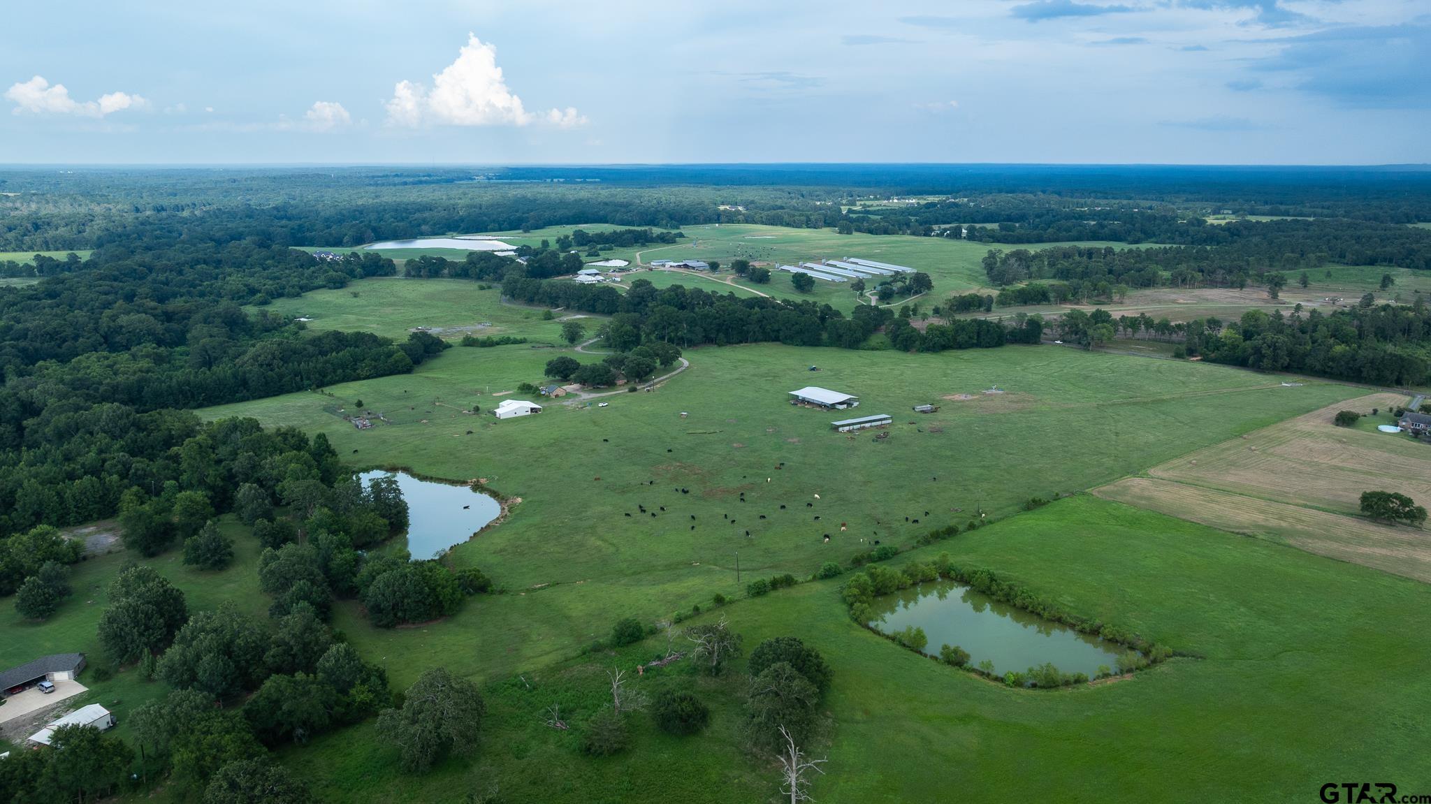 668 County Road 108 Carthage, TX 75633 - Photo 11 of 42 a view of a green yard with a lake view