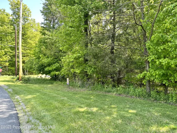 a big yard with lots of green space and house in the back