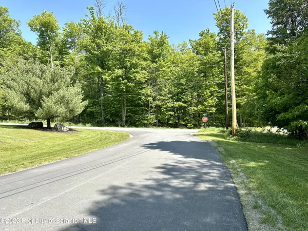 a view of a yard with a large trees