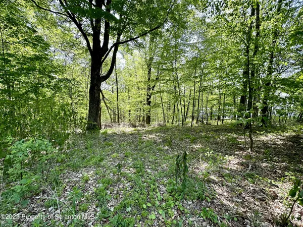 a view of outdoor space