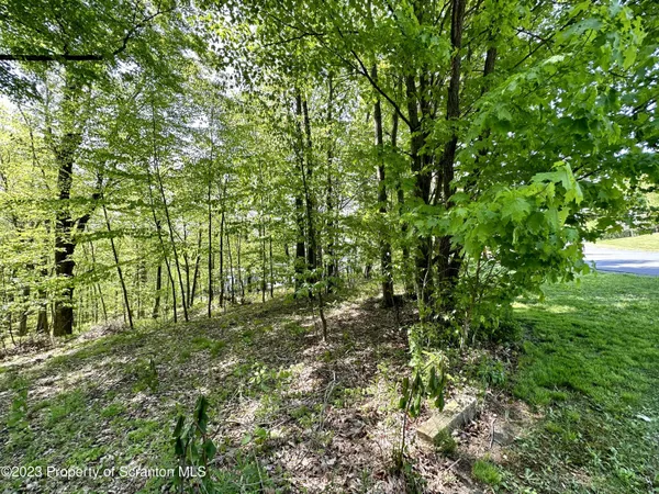 a big yard with lots of green space and a forest