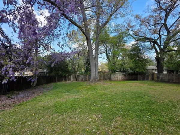 a view of a trees in a yard