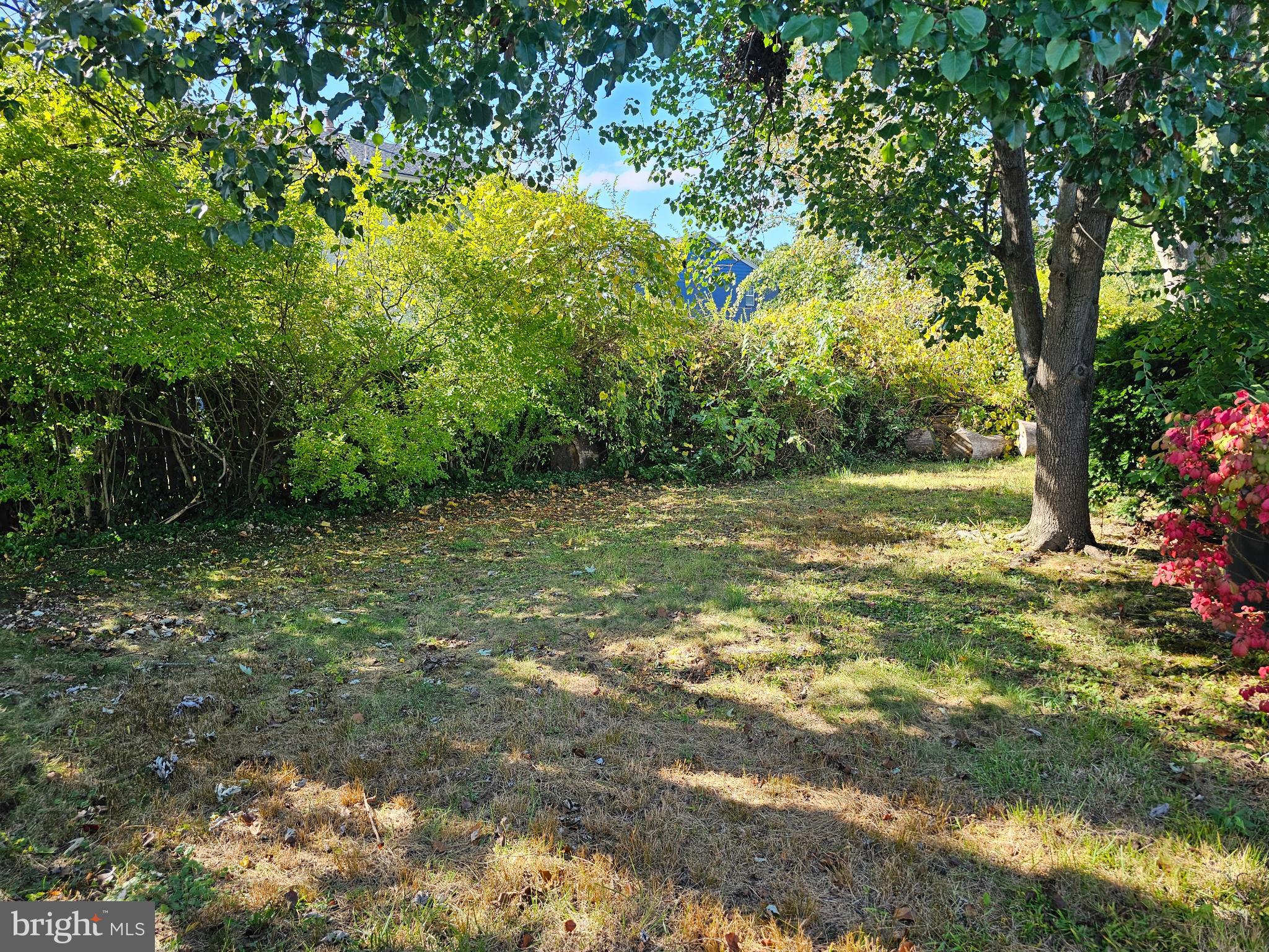 12 Dunbar Road Newark, DE 19711 - Photo 13 of 13 Backyard