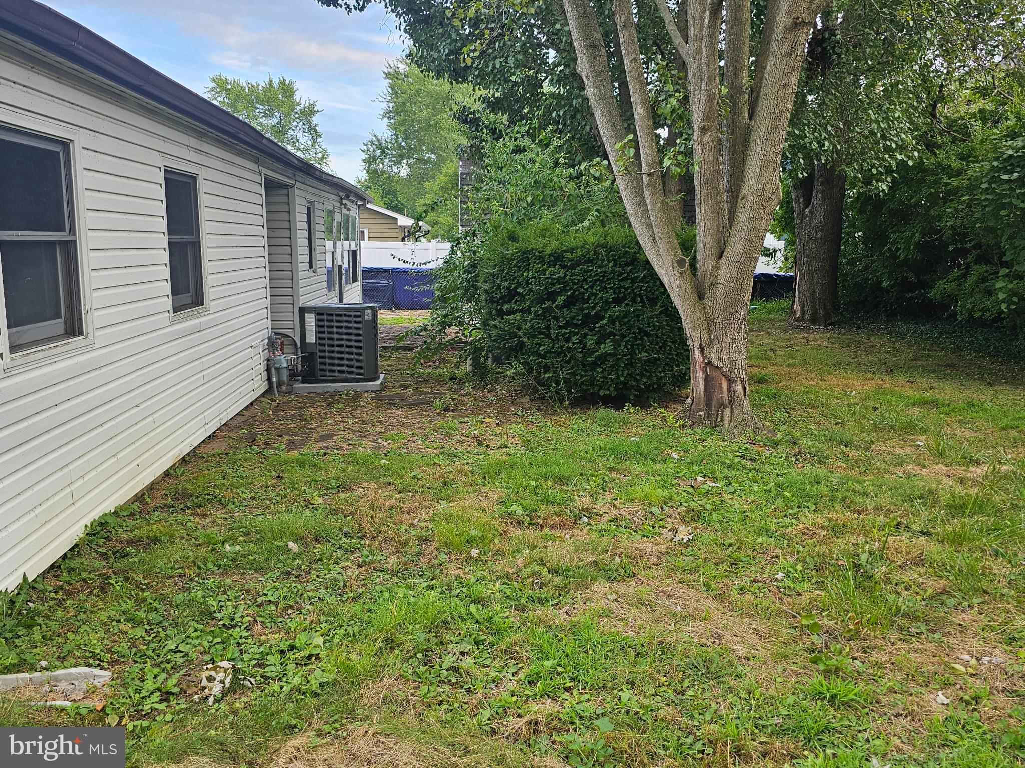 12 Dunbar Road Newark, DE 19711 - Photo 6 of 13 Backyard with Mature Trees