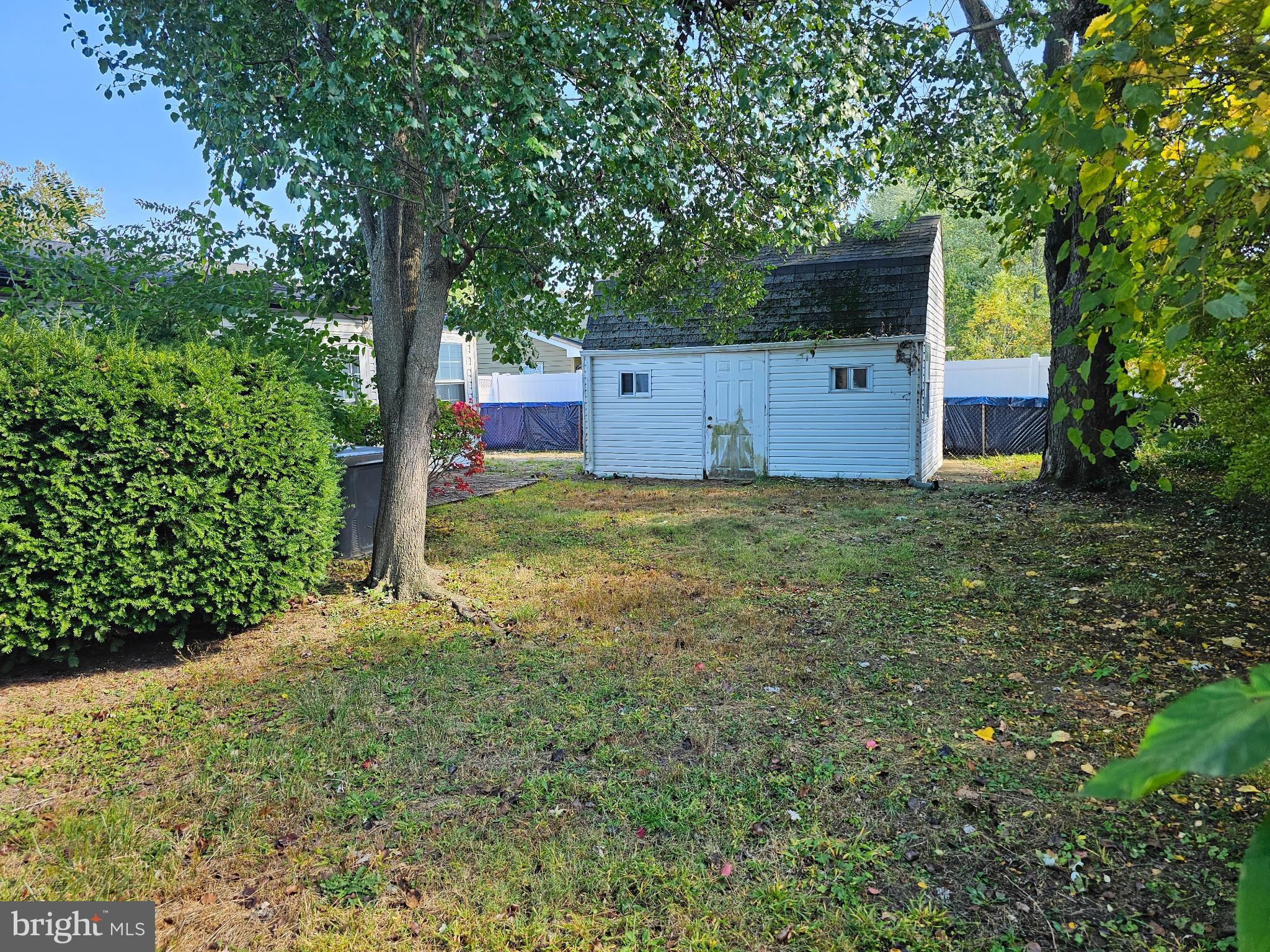 12 Dunbar Road Newark, DE 19711 - Photo 7 of 13 Backyard with Mature Trees / Shed