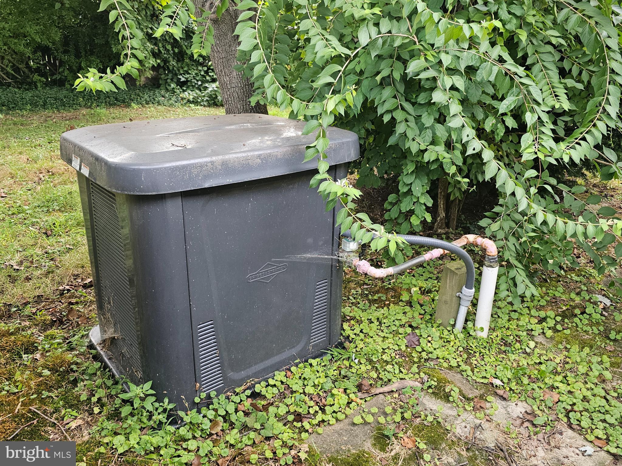 12 Dunbar Road Newark, DE 19711 - Photo 10 of 13 Generator