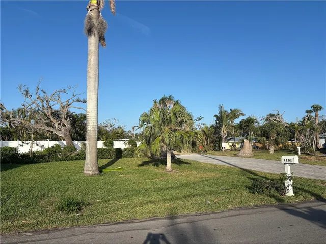a park with lots of trees and plants