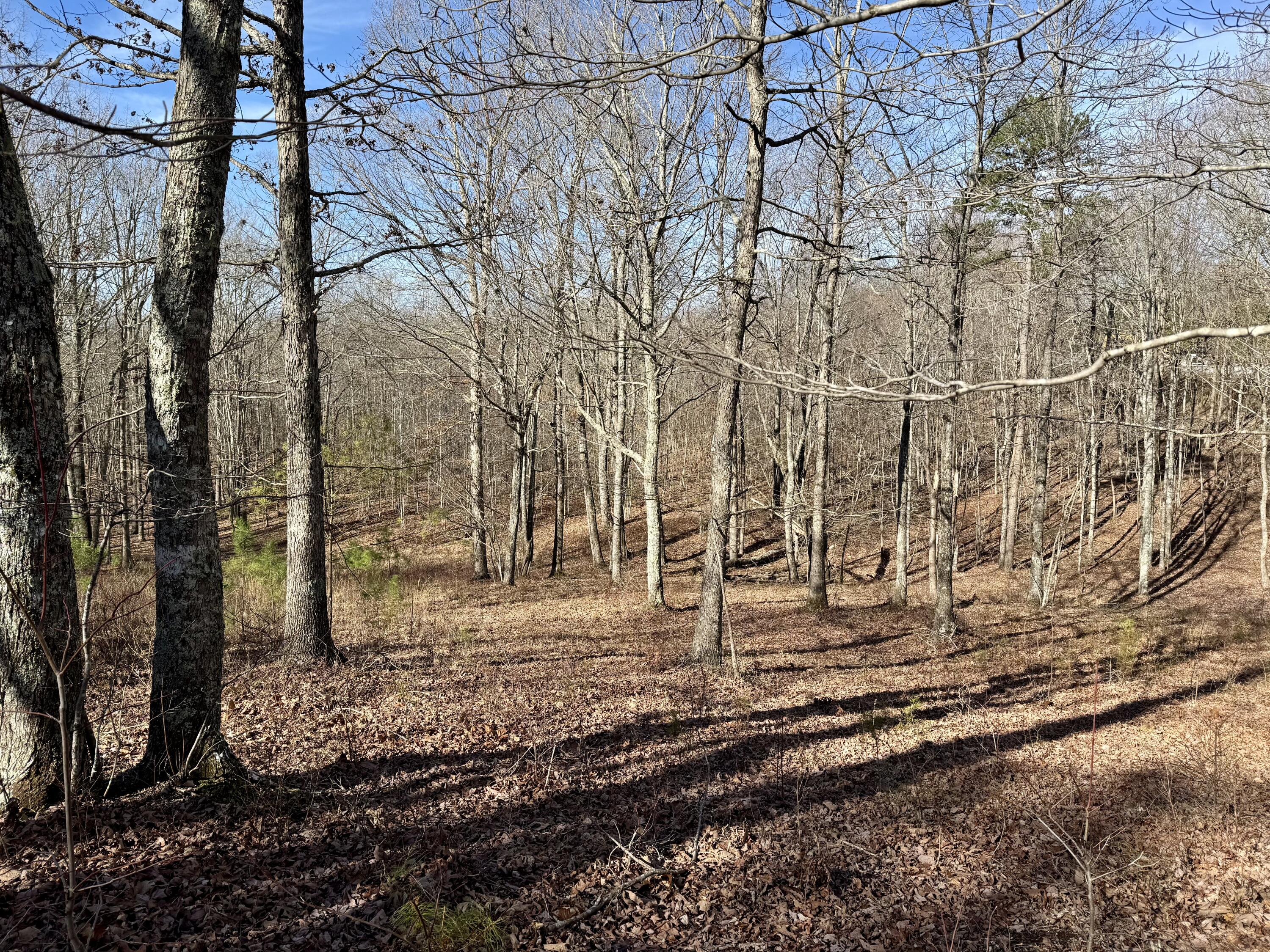 0 Hobbstown Road, Unit LOT 7 Dunlap, TN 37327 - Photo 22 of 44 IMG_6684