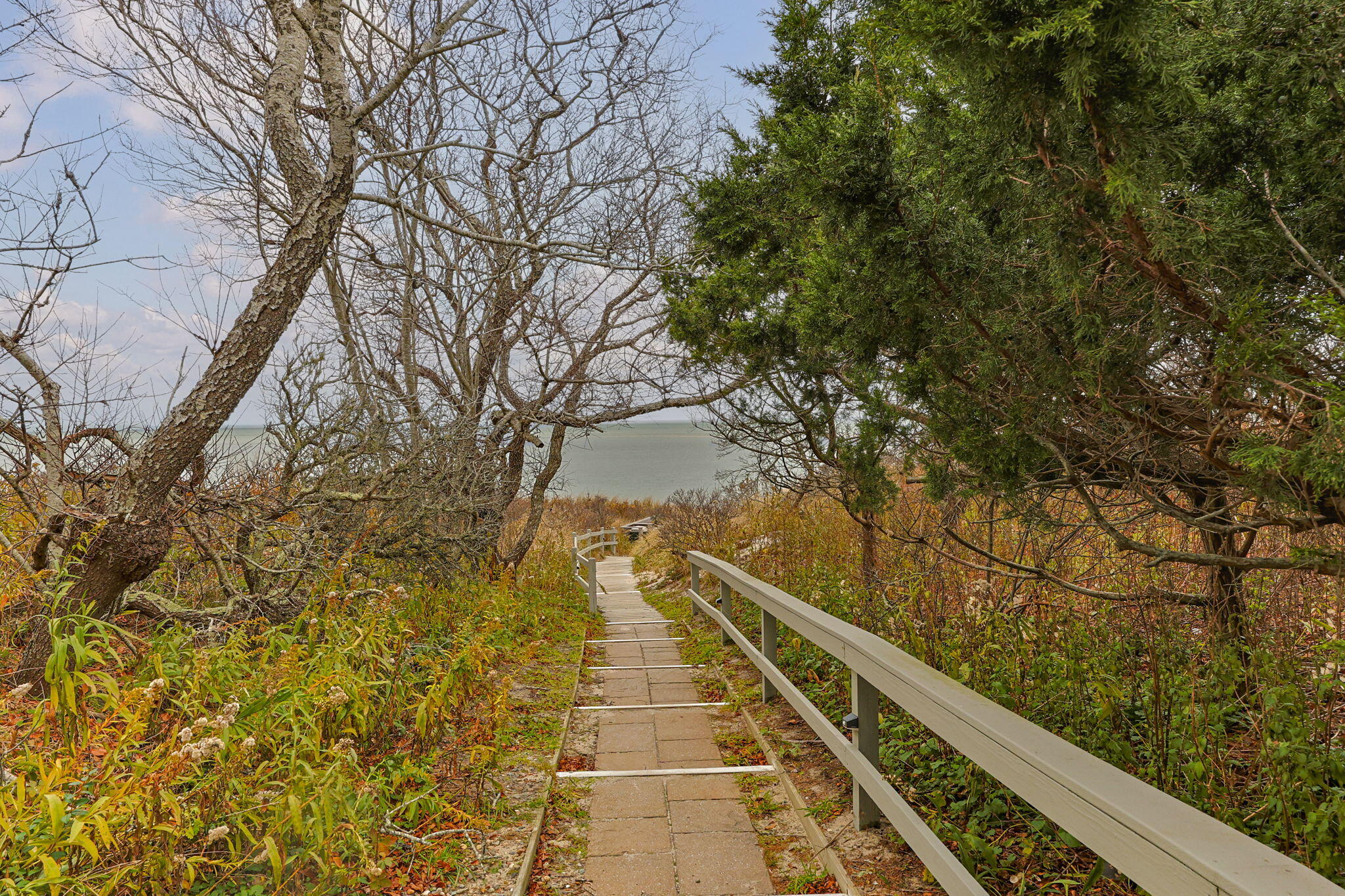23 Landing Lane, Unit 23 Brewster, MA 02631 - Photo 23 of 33 a view of wooden floor with a tree