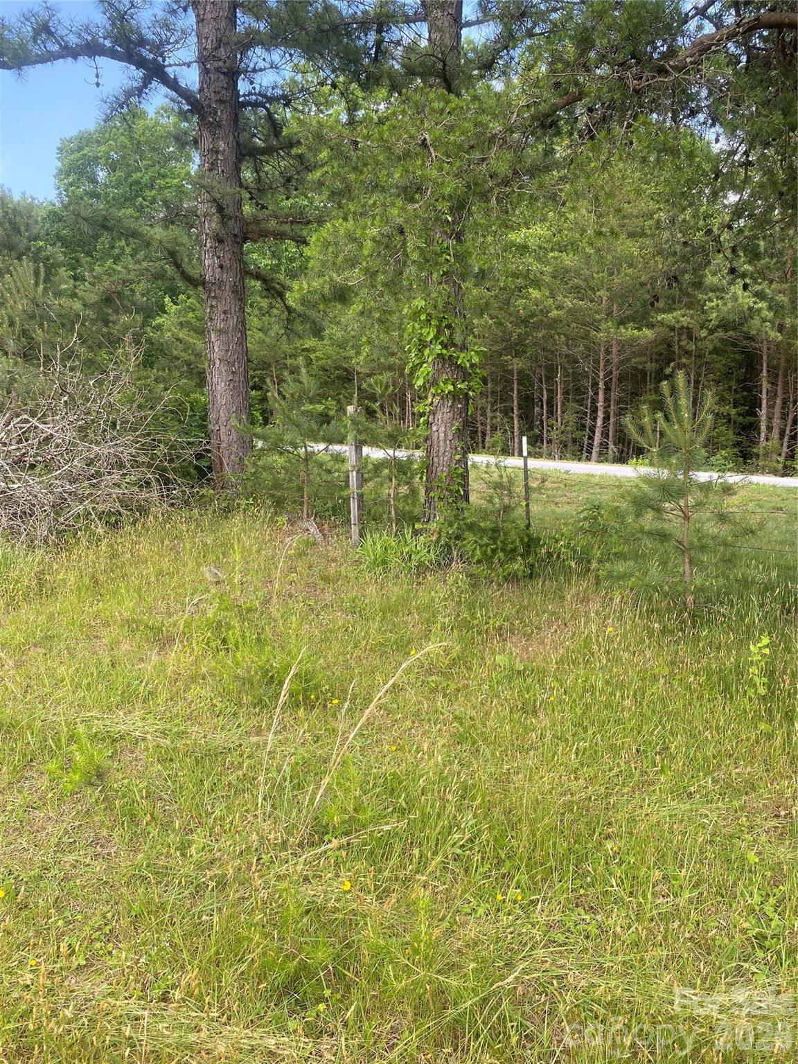 0 Summer Road, Unit 20 44 ACRES Hendersonville, NC 28792 - Photo 12 of 28 a garden view with a seating space
