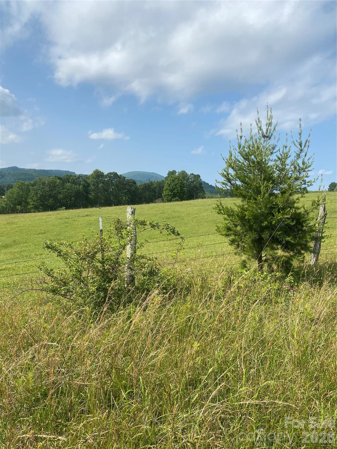 0 Summer Road, Unit 20 44 ACRES Hendersonville, NC 28792 - Photo 16 of 28 a view of an ocean from a yard
