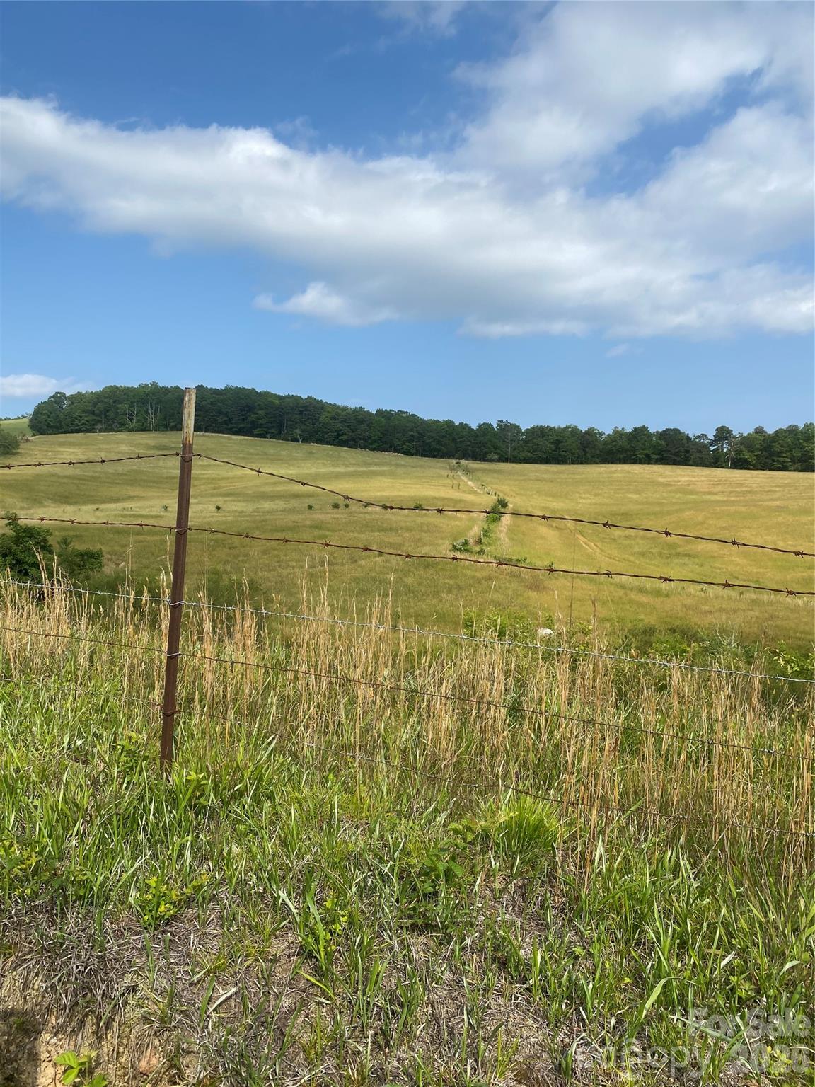 0 Summer Road, Unit 20 44 ACRES Hendersonville, NC 28792 - Photo 17 of 28 a view of an ocean from a yard