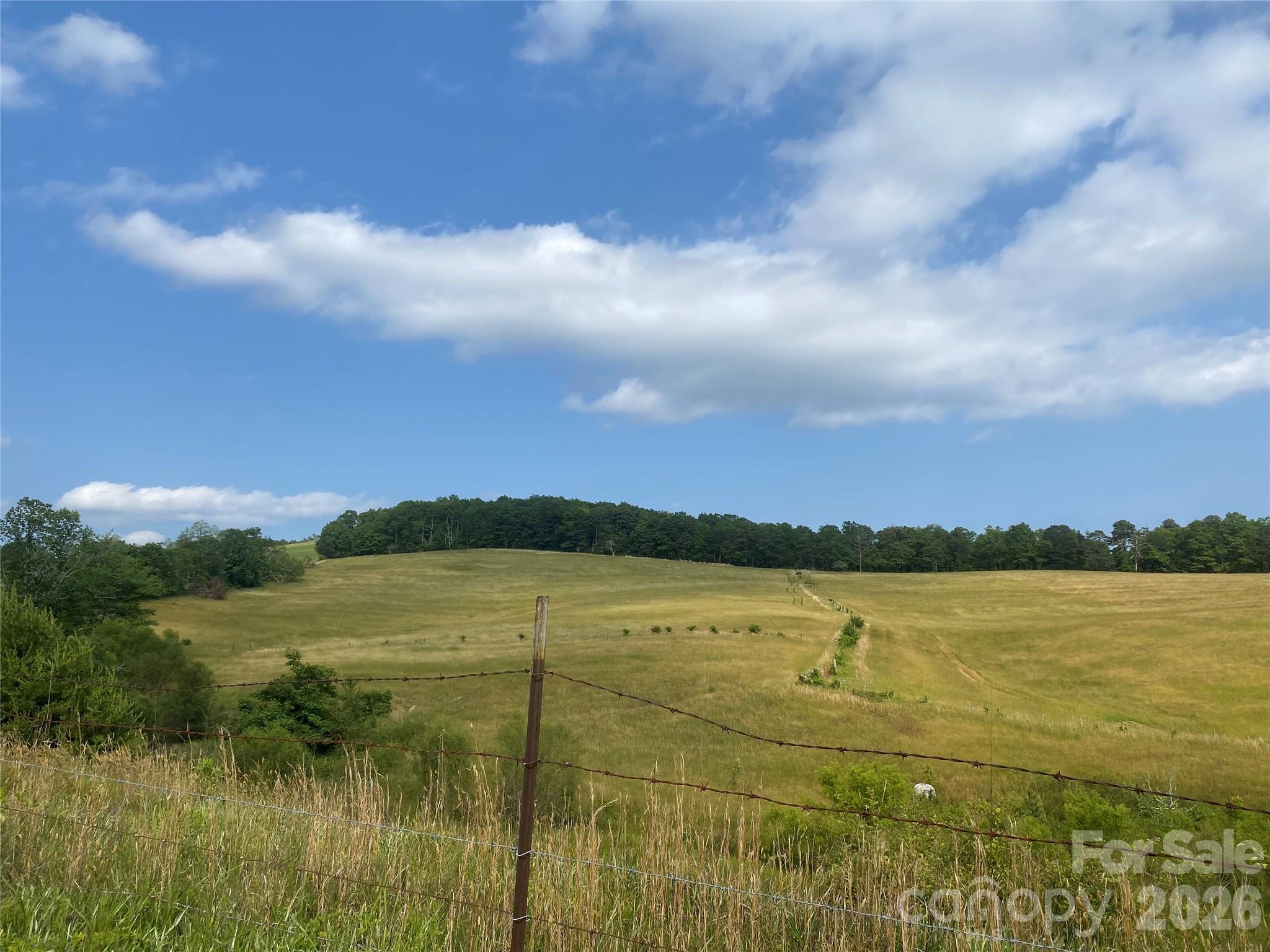 0 Summer Road, Unit 20 44 ACRES Hendersonville, NC 28792 - Photo 18 of 28 a view of lake view and mountain