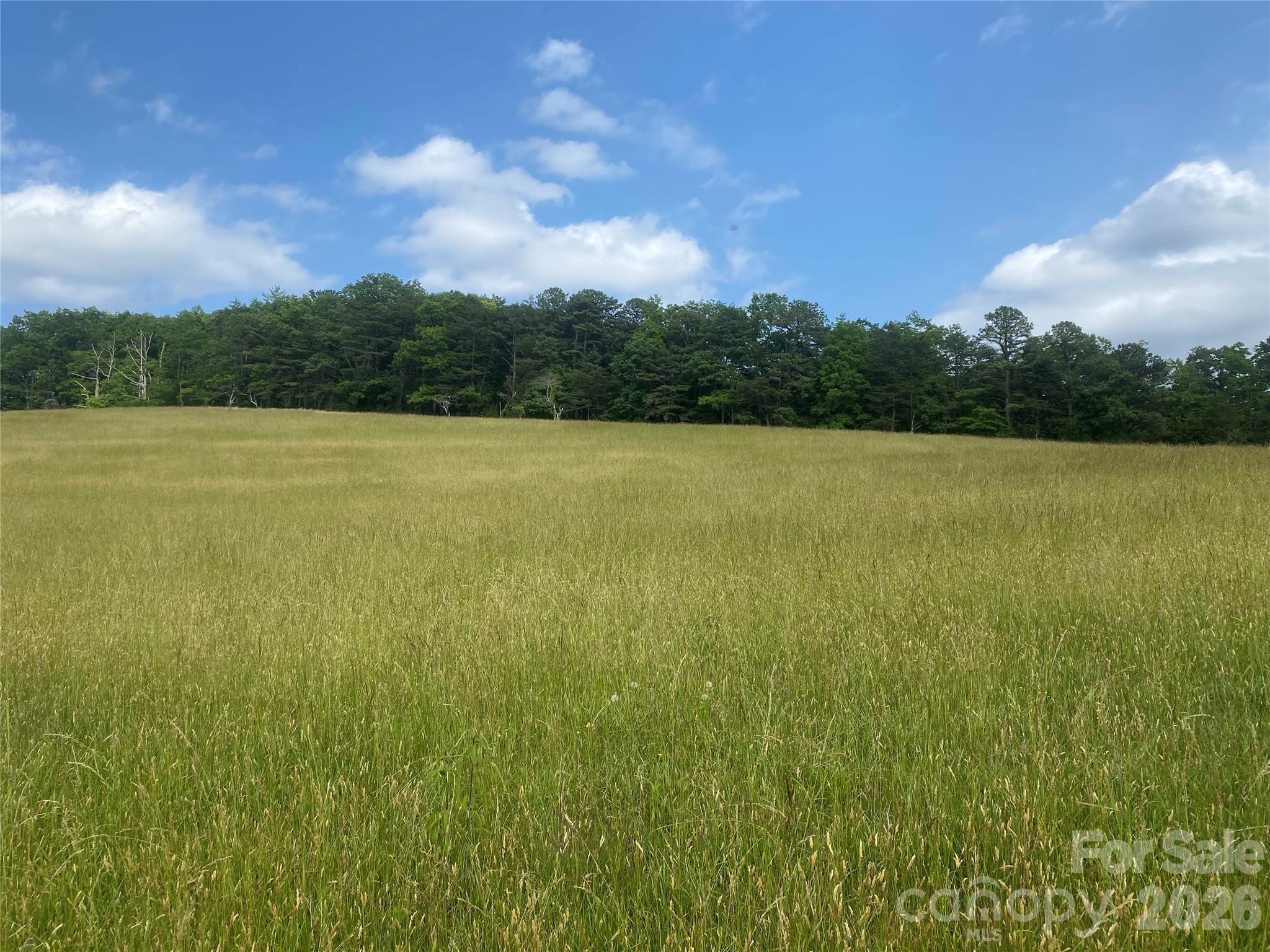 0 Summer Road, Unit 20 44 ACRES Hendersonville, NC 28792 - Photo 19 of 28 a view of an ocean