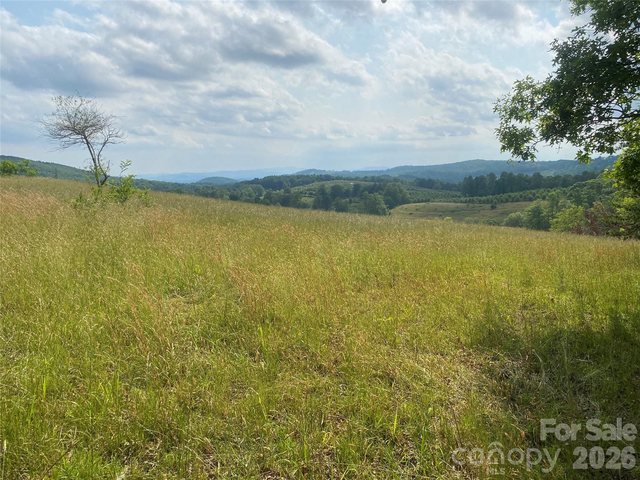 0 Summer Road, Unit 20 44 ACRES Hendersonville, NC 28792 - Photo 20 of 28 a view of an ocean and beach